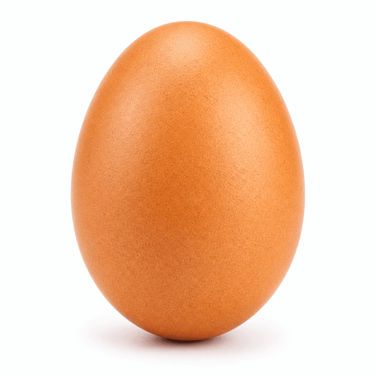 Farm Fresh Eggs thumbnail 5